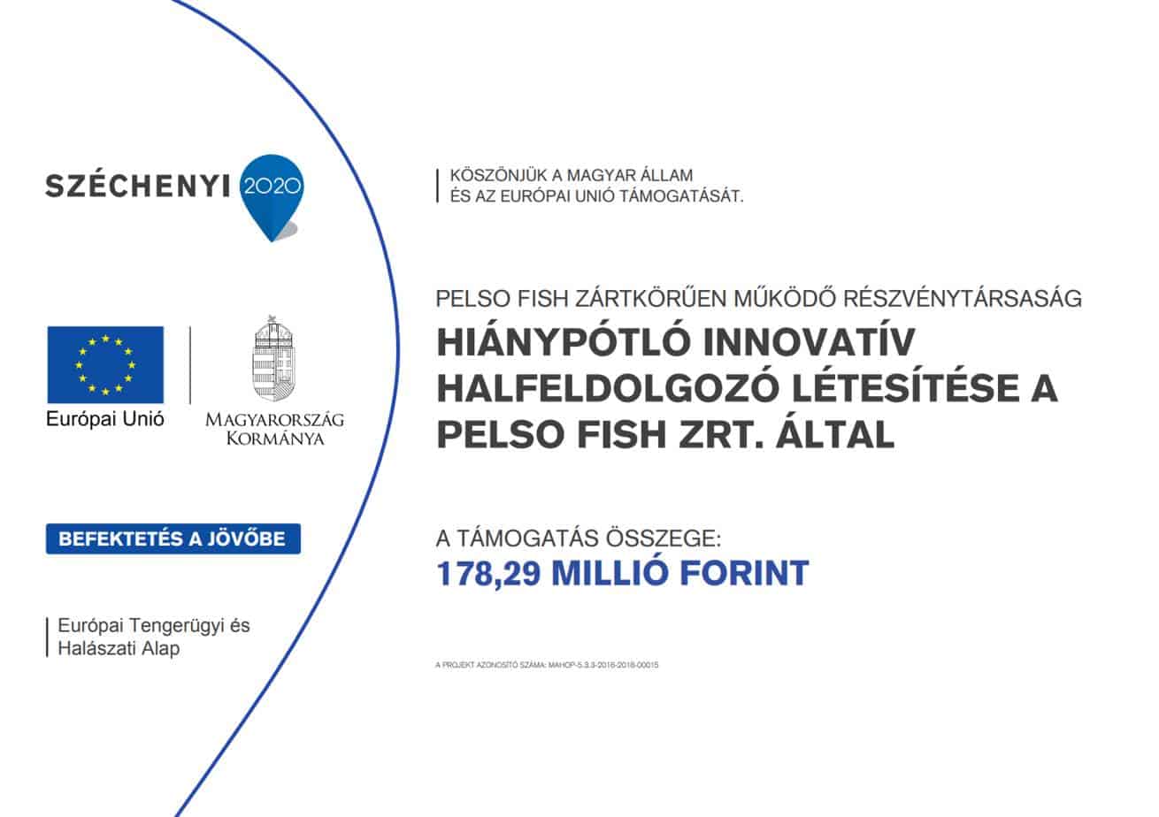 ginop pályázat