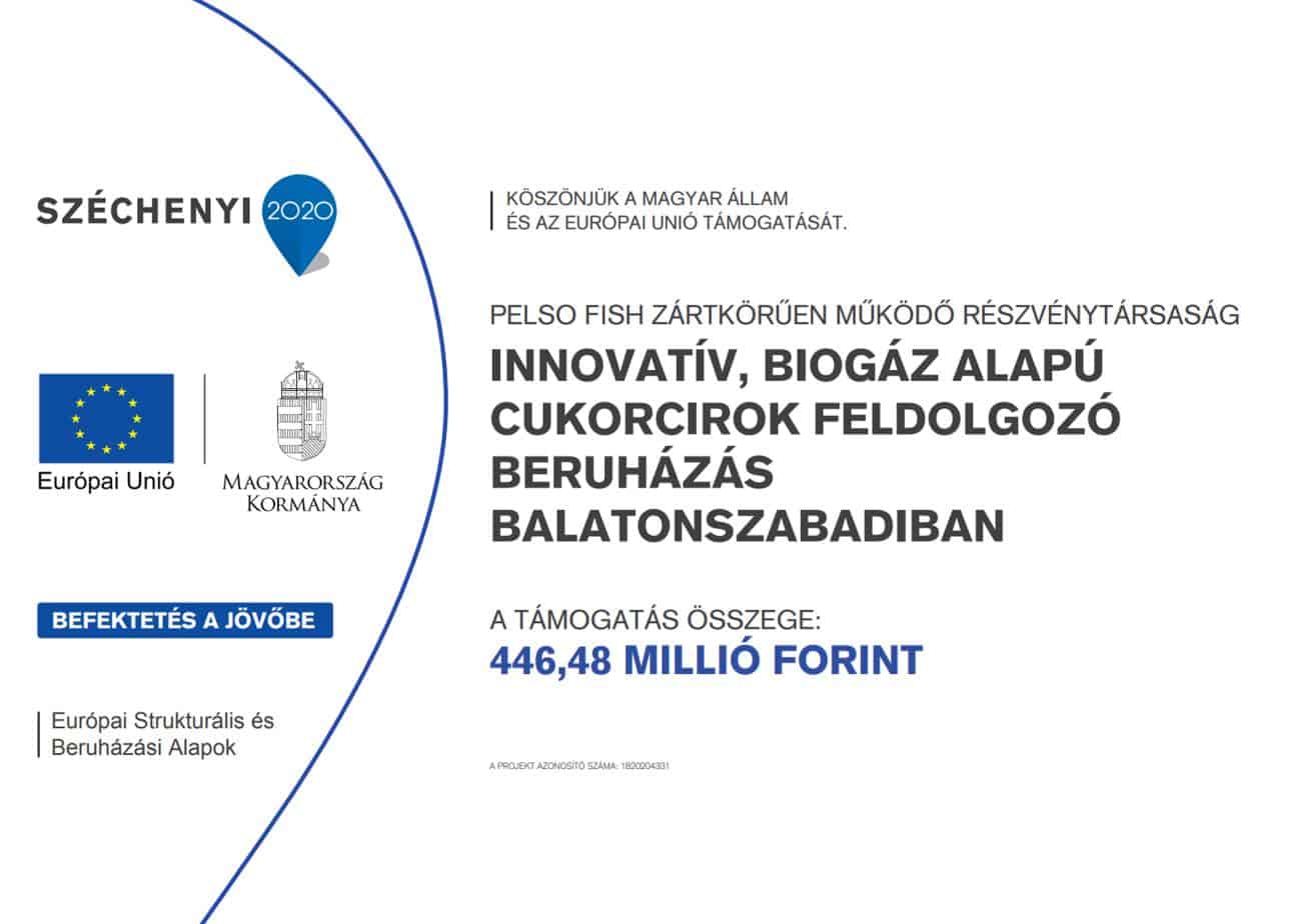 ginop pályázat